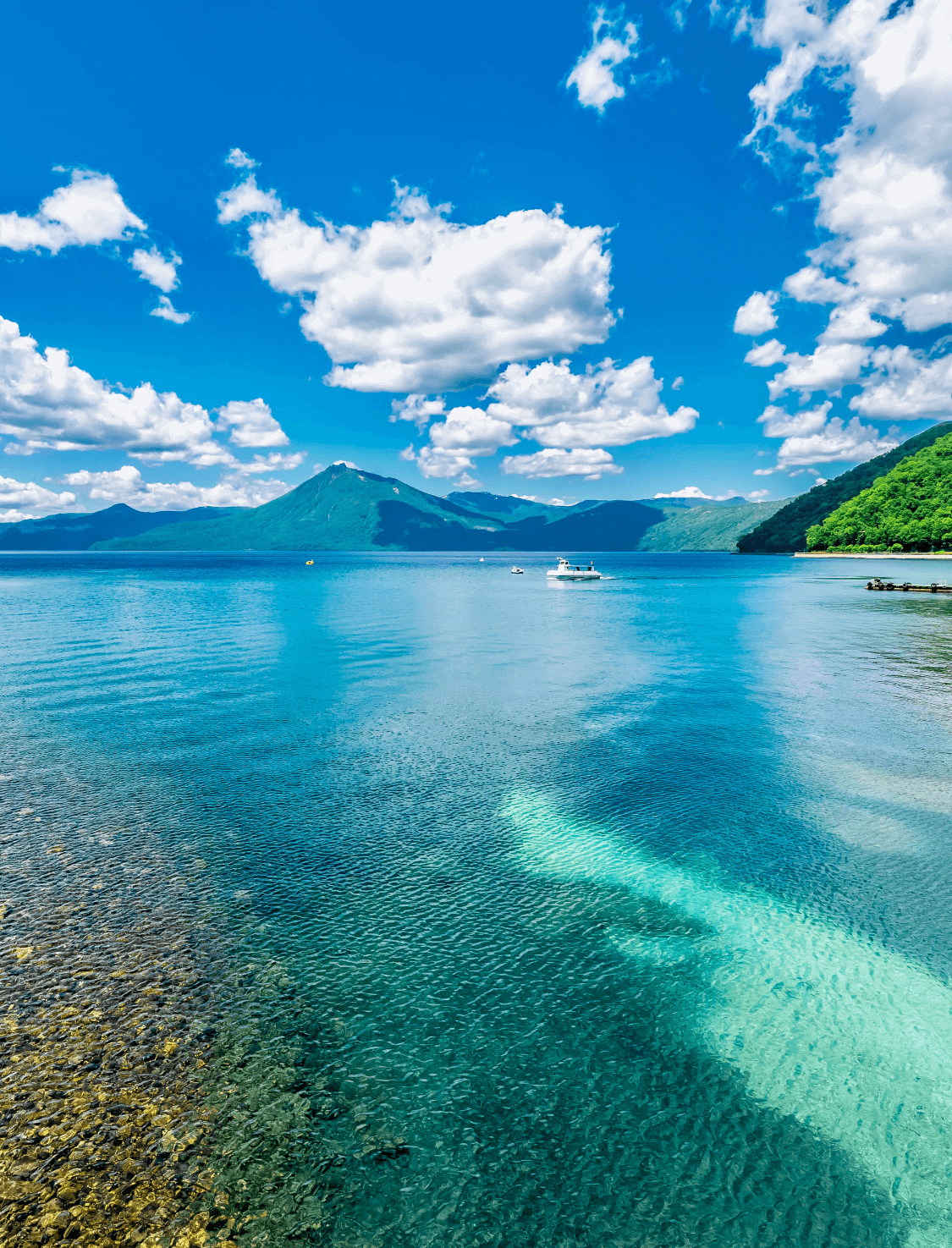千歳町ふるさと納税